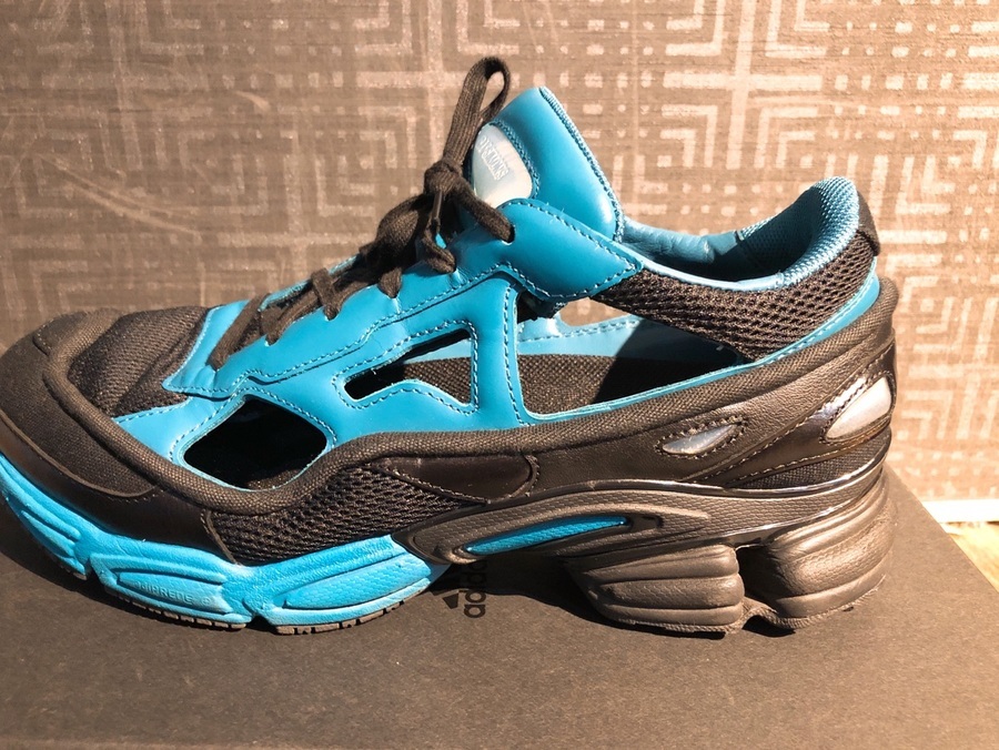 raf simons ozweego ラフシモンズ　オズウィーゴ