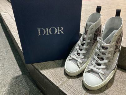 「ラグジュアリーブランドのdior 」