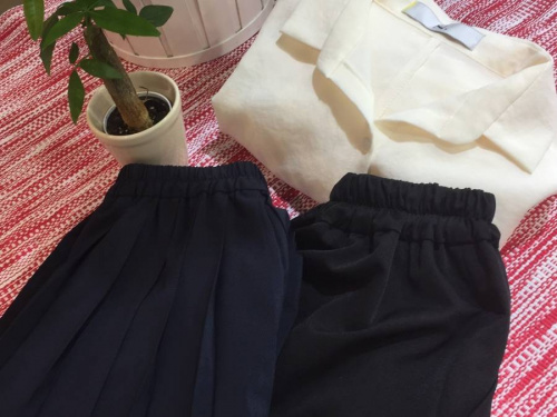 ﾌﾞﾗｳｽのｶﾞｳﾁｮﾊﾟﾝﾂ