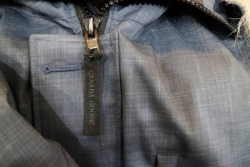 国領のカナダグース