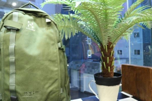 18年06月20日：画像７