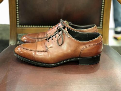 三陽山長のサンヨウヤマチョウ