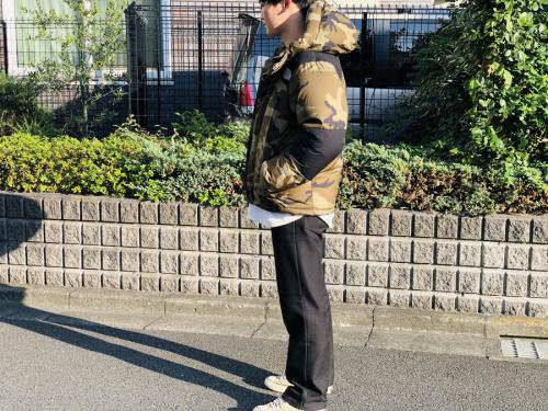 ザノースフェイスのノヴェルティバルトロライトジャケット