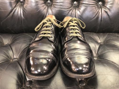 SANDERSのサンダース