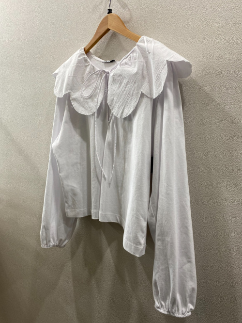 トレファクスタイル柏増尾台店ブログ画像3