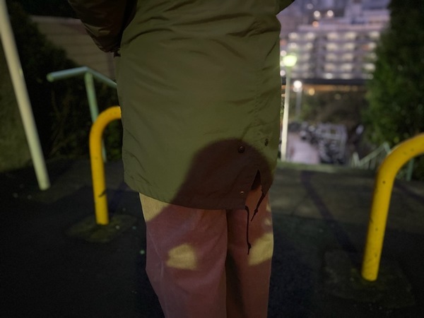 THENORTHFACE/ザノースフェイス】から【フィッシュテールトリクライ