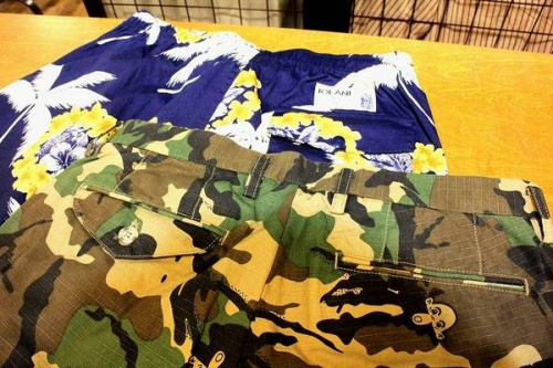 トレファクスタイル東戸塚店ブログ画像１