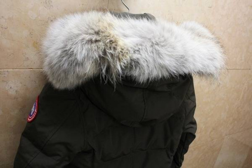 カナダグースのベルビル