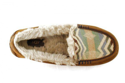 アグのペンドルトン