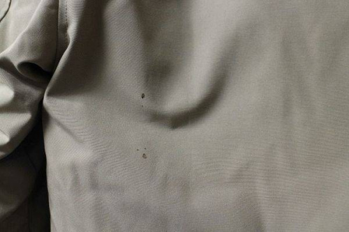 カナダグースのラブラドール