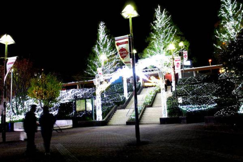 イルミネーションのイベント