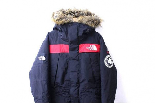 ANTARCTICA PARKAのダウンジャケット