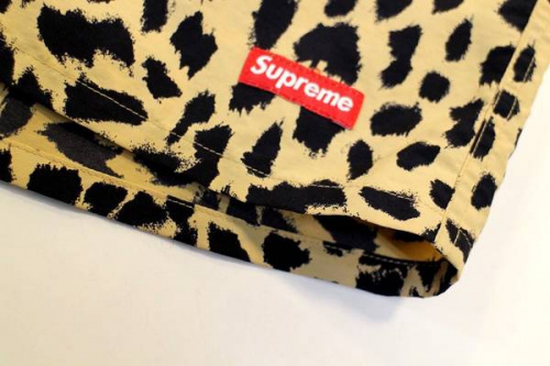 ハーフパンツの東戸塚