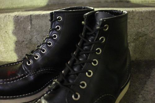 8179のアイリッシュセッター