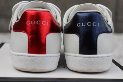 キャット ウェブの506635