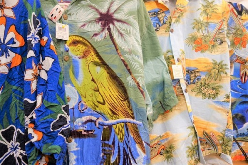 トレファクスタイル元住吉店ブログ画像１