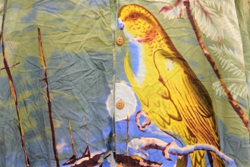 19年06月23日：画像７