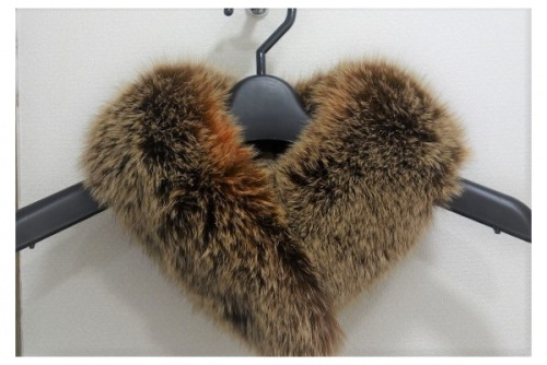 トレファクスタイル元住吉店ブログ画像２