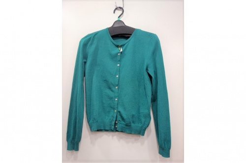 ミントカラーの川崎