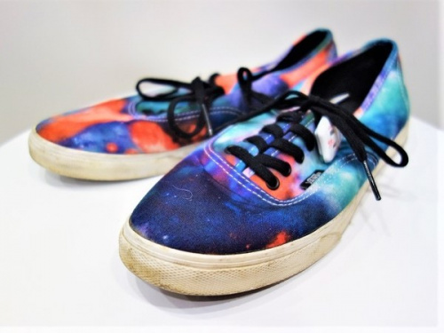 春先のリサイクル