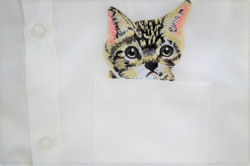 元住吉の猫シャツ