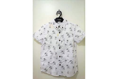 20年07月17日：画像６