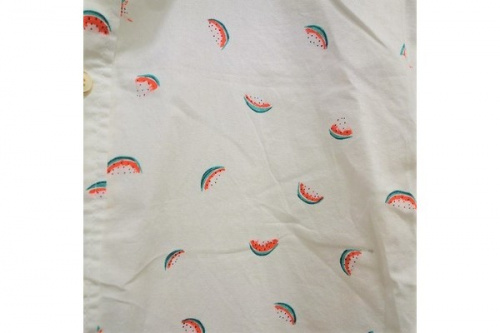 シャツのレディース