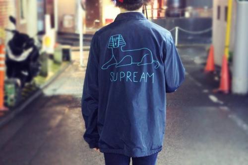 16年11月11日：画像１０