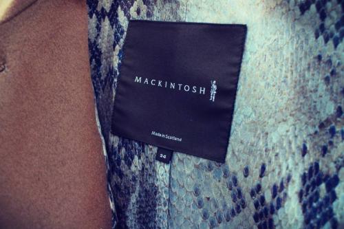 16年12月31日：画像９