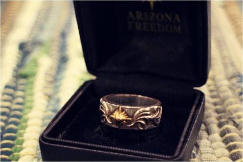 17年02月13日：画像７