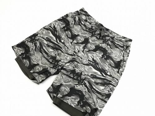 17年08月25日：画像８