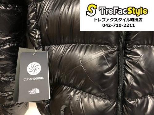 SUPREMEのTHE NORTH FACE