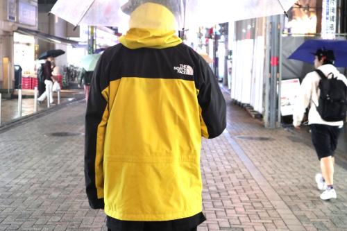 ザノースフェイスのMountain Light Jacket LY