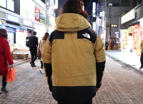 ザノースフェイスのMOUNTAIN DOWN JACKET