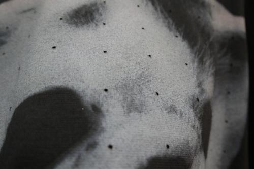 20年05月02日：画像６