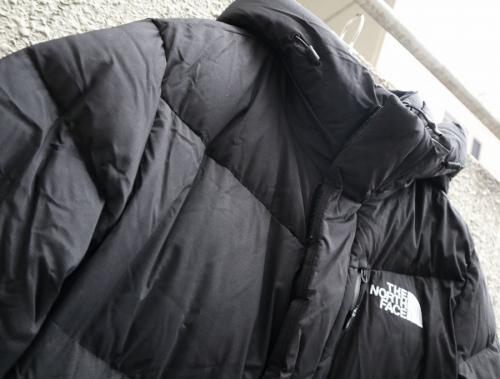 EXPLORING 4 DOWN COAT