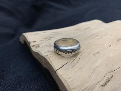 アリゾナ　フリーダムのシルバー