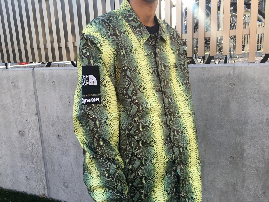 新品 Supreme The North Face Snake コーチ