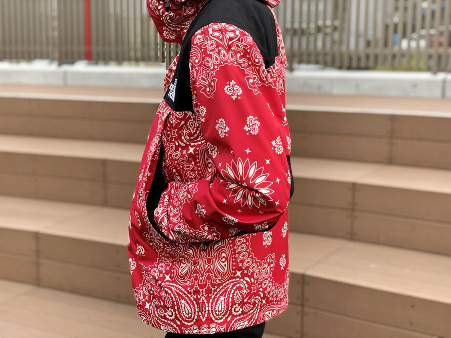 Supreme ノースフェイス Bandana Mountain Parka