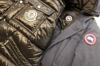 「MONCLERのCANADA GOOSE 」