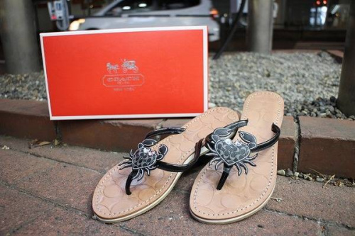 トレファクスタイル小手指店ブログ画像２