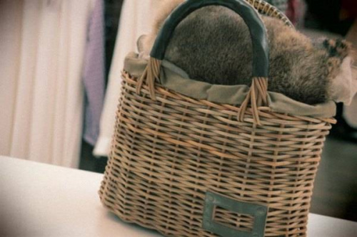 トレファクスタイル小手指店ブログ画像２