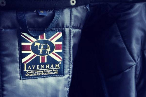 16年11月13日：画像１０