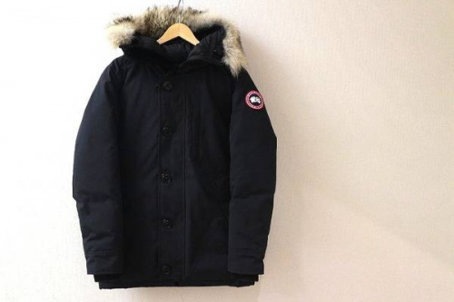 カナダグースのジャスパー