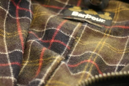 小手指のレディース