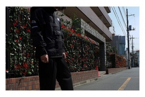 コラボ・別注アイテムのSUPREME x THE NORTH FACE