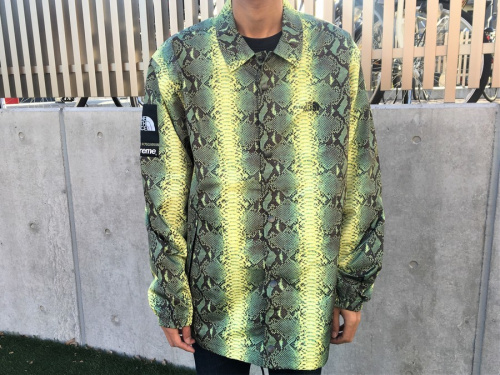 トレファクスタイル小手指店ブログ画像１