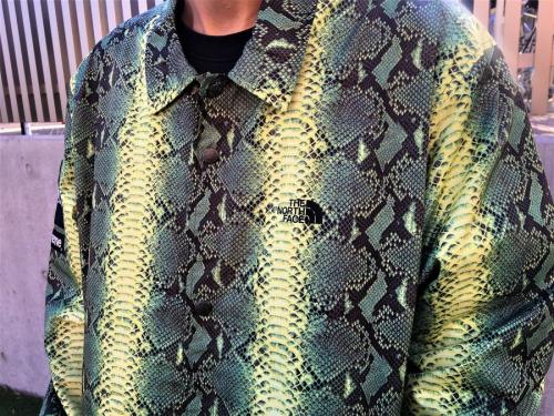 シュプリーム×ノースフェイスのスネークコーチジャケット