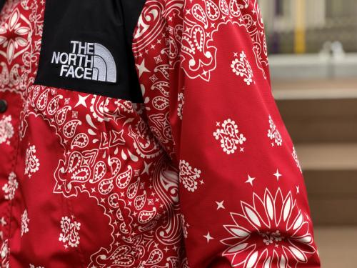 シュプリーム × ザ・ノース・フェイスのBANDANA MOUNTAIN PARKA