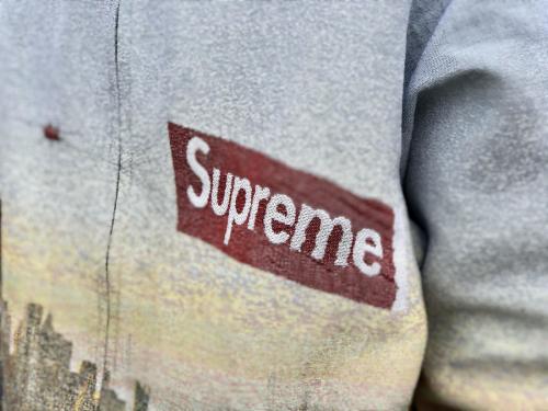 Aerial Tapestry Harrington Jacket Multiのメンズ 20AW